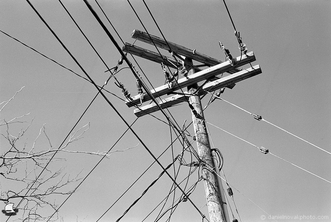 Utility Pole Top, Yates Park, Orchard Park, NY