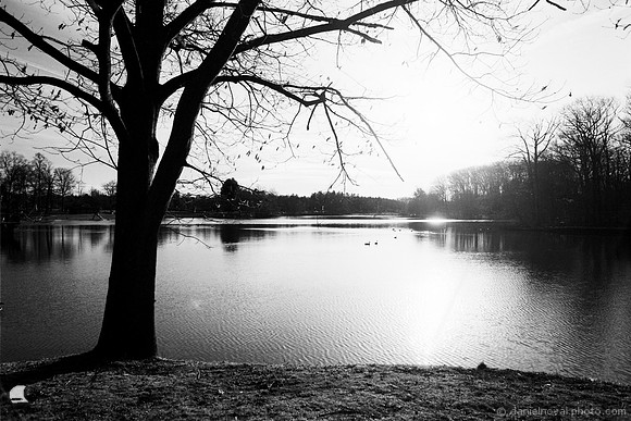 Into the Sunrise, Green Lake, Orchard Park