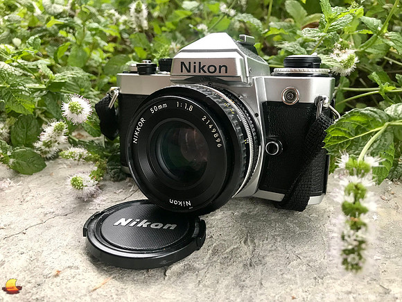 Nikon FE