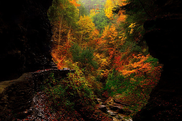 Watkins Glen Window