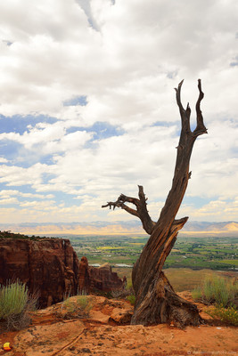 Desolation, Colorado National Monument