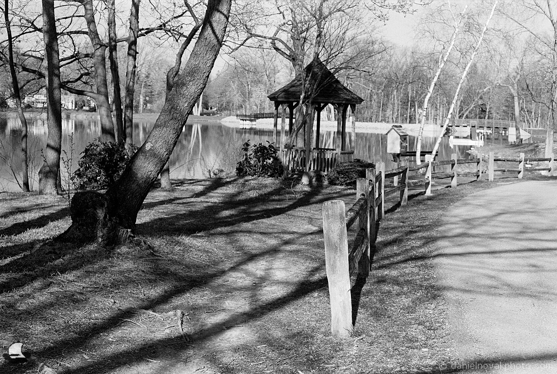 Along the Fence at Yates Park, Orchard Park, NY