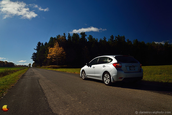 On a Caneadea Country Road