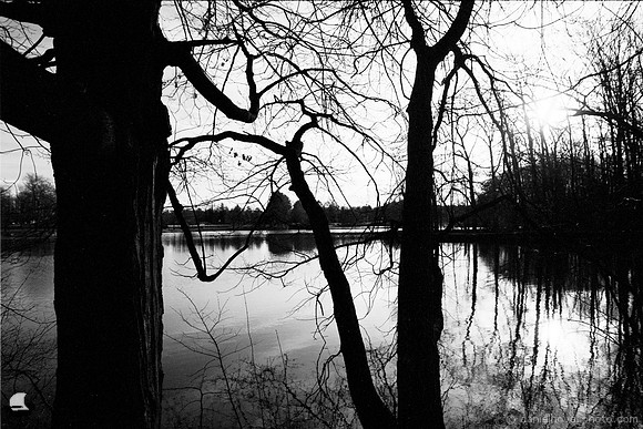 Sunrise Silhouettes, Green Lake, Orchard Park