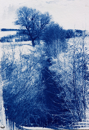 Kyjovka Cyanotype