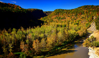 The Letchworth Gorge, Tea Table View of Genesee River Valley.