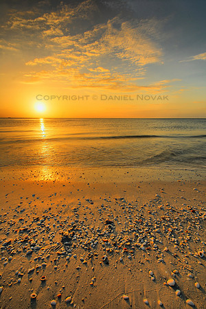 Shells at Sunset on a Marco Island Beach, Florida (FL). Direct sun low on horizon.