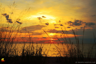 Illinois Beach State Park Sunrise, Grass X Marks the Spot, Zion - Chicago, Illinois (IL).