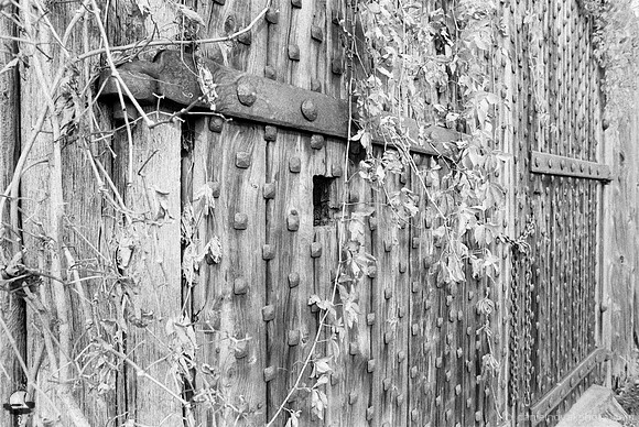 Old Gate & Vine, Fort George, Niagara-on-the-Lake