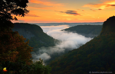 Fogy Magic over Letchworth Gorge, Colors of the Daybreak.