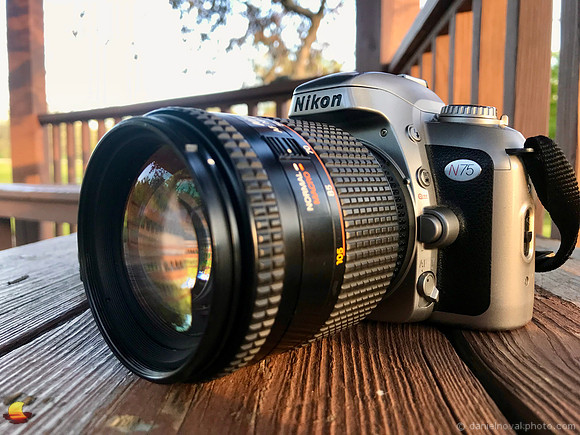 Nikon N75 at Green Lake