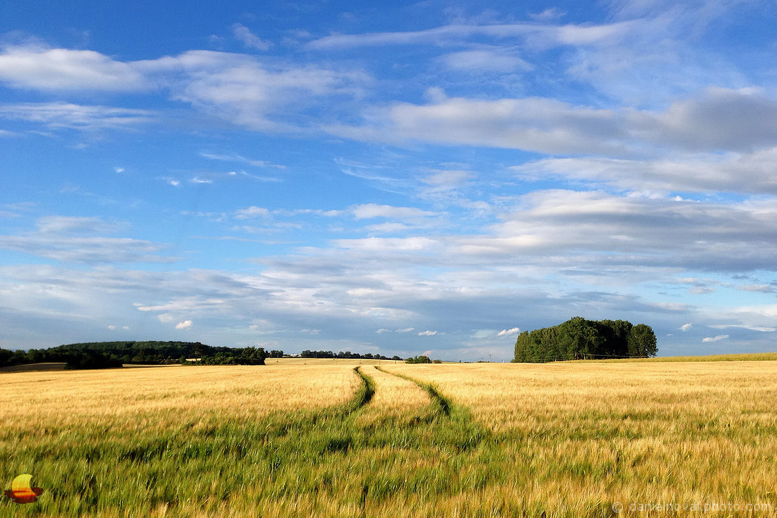 Tracks in the Middle of a Field, The Power of (iPhone) Simplicity, Southern Moravia, Czech Republic.