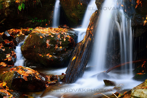 Water Veils in the Fall, Dark Hollow Falls Trail, Shenandoah National Park, VIrginia (VA)
