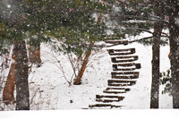 Snowy Stairs, Orchard Park, NY