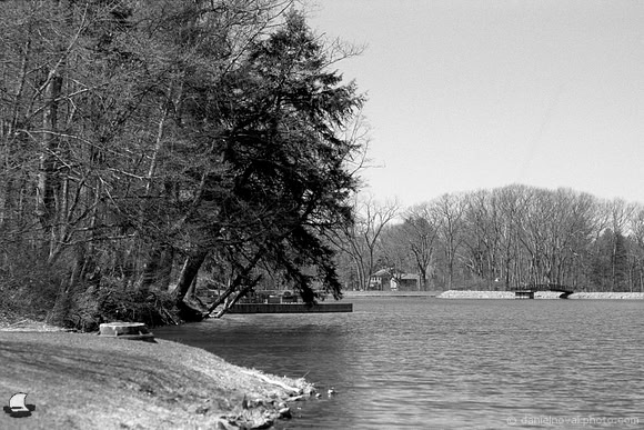 South Shore of Green Lake, Orchard Park, NY