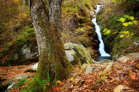 Dark Hollow Falls, Shenandoah National Park, Virginia (VA).