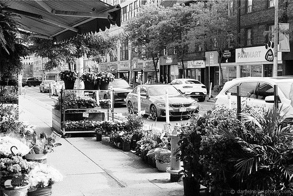 Street Flower Market, Toronto