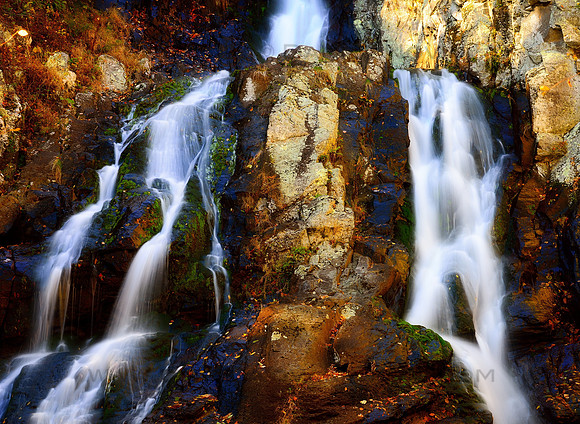 South River Falls of Shenandoah National Park Up Close, Detail Study of Light and Colors, Virginia (VA).