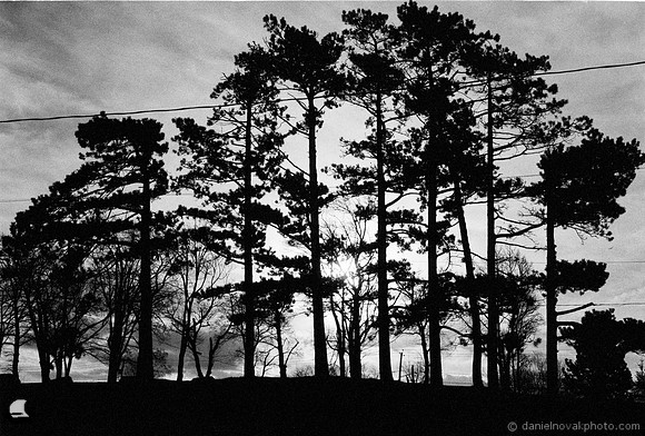 Above the Beach, Driftwood Photo Series Spring 2024, Hamburg Beach