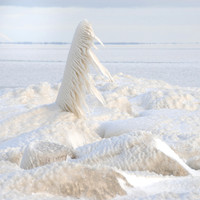 Victim of Winter - Frozen till Spring