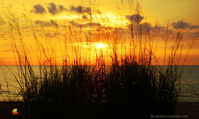 Lakeshore Grass at Sunrise, Morning on Lake Michigan, Illinois Beach State Park, Zion - Chicago, Illinois (IL).