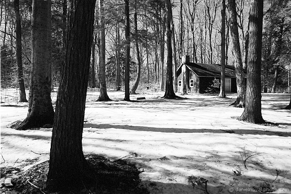 Cottage in the Woods, Chestnut Ridge Park