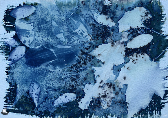 Leaves 2, Wet Cyanotype Photogram, Batch 26
