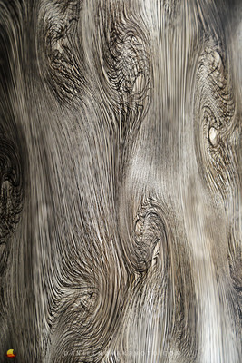 Glass Grain, or what do you see? Fuel your imagination.