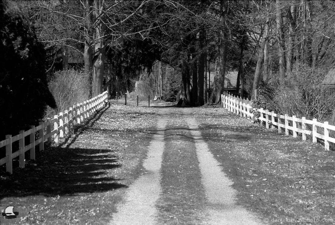 Deuel Cemetery Entrance Path, Orchard Park, NY Photography