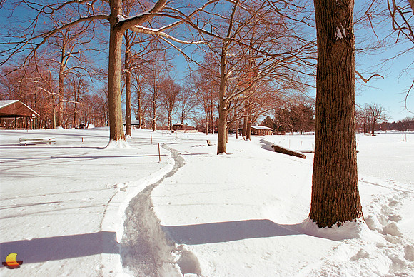 Tracks in Snow around Green Lake in Winter, Orchard Park, New York