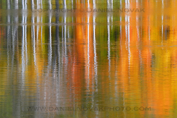 Autumn Reflection, Sinking Ponds, East Aurora, New York (NY.