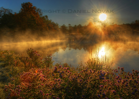 Foggy sunrise over wetlands in Orchard Park, NY.
