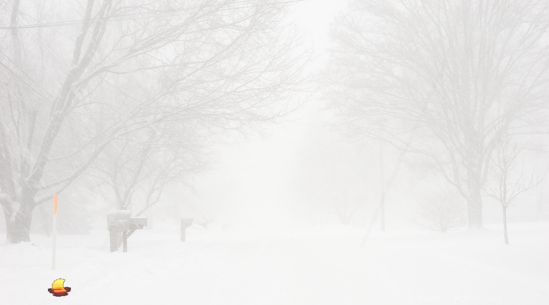 March Blizzard - Can You See?, Another Winter Day around Buffalo, New York