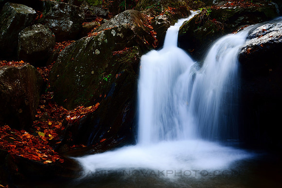 Waterfall, Rocks  and Pool, Dark Hollow Falls Trail, Shenandoah National Park, Virginia (VA)