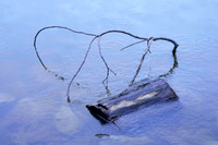 Last Ice Standing, Green Lake, Yates Park, Orchard Park, NY.