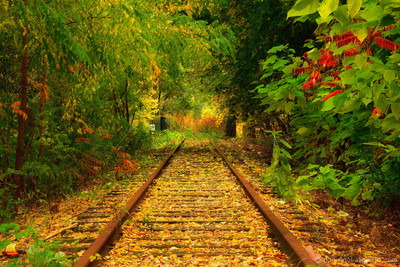 At the End of the Tracks - Orchard Park - Buffalo, NY