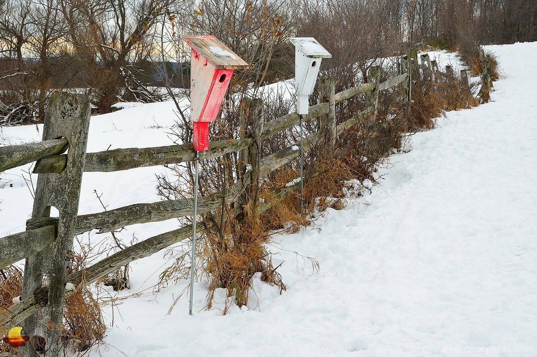 Knox Farm Birdhouses by Fence, Winter Theme, East Aurora, New York (NY).