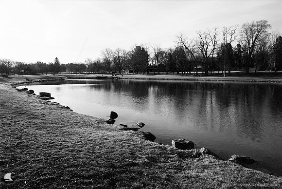 Green Sunrise, Orchard Park